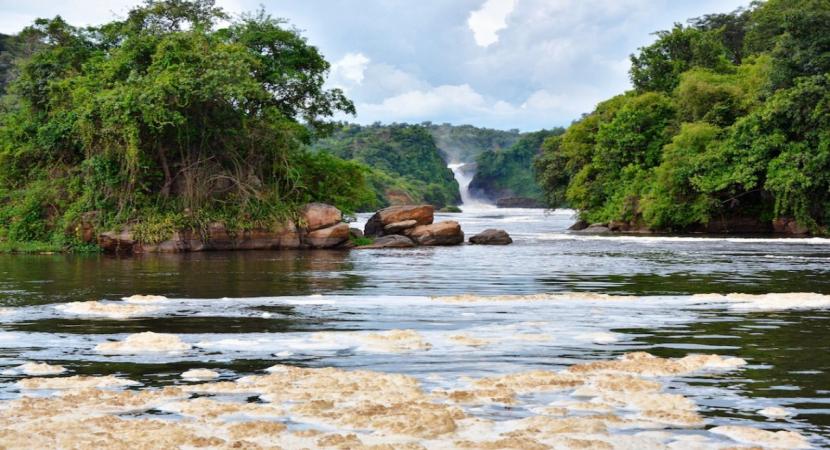 3 Days Murchison Falls & Rhino Tracking Safari