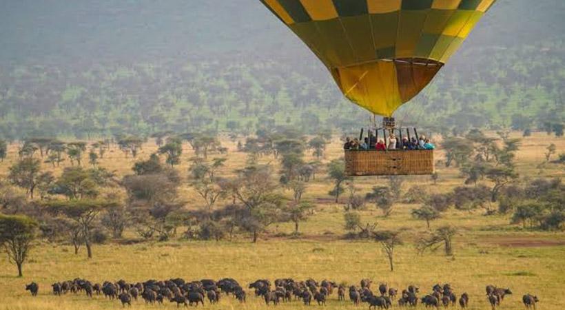 Maasai Mara Big Cat Safari & Balloon Flight